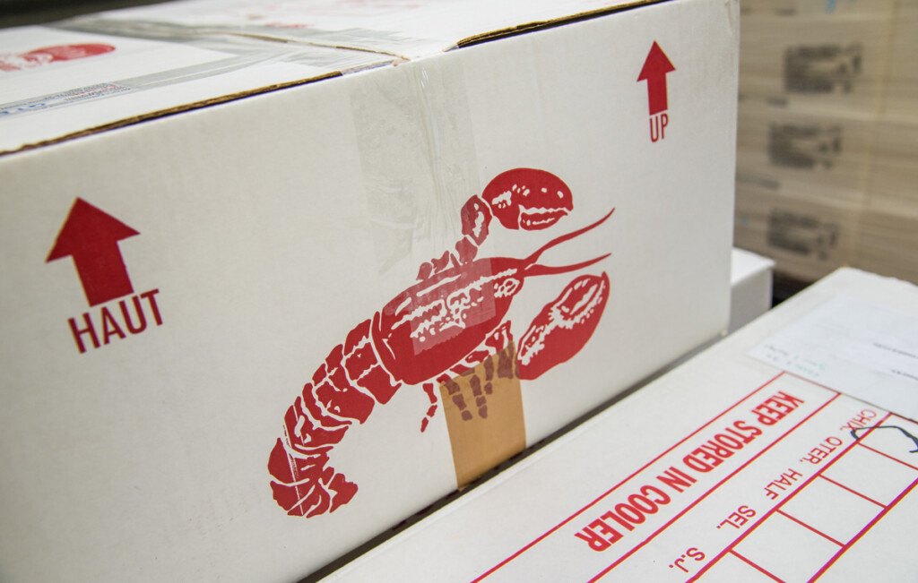 Lufthansa Cargo Relies On Temperature Tracking in Real Time