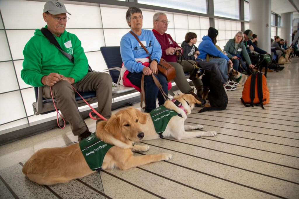 54446464502 56a481f742 k Metropolitan Airport News