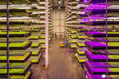 AeroFarms 1 Metropolitan Airport News