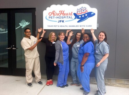 AirHeart Pet Hospital JFK Airport Metropolitan Airport News