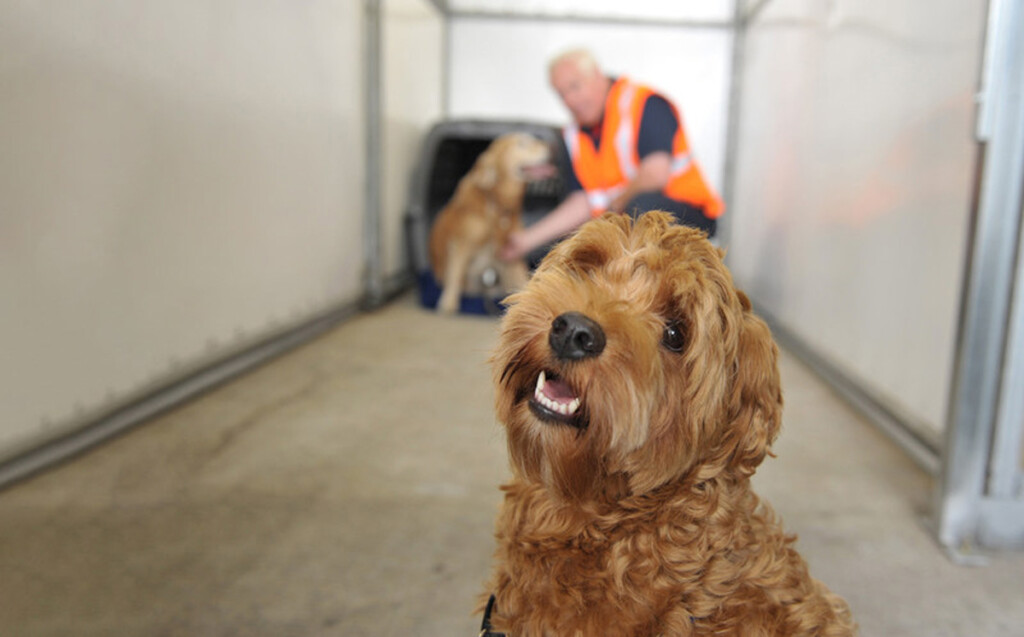 Air Canada Becomes First Airline to Receive IATA Recertification For the Safe Transportation of Live Animals