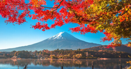 American Airlines Tokyo Metropolitan Airport News