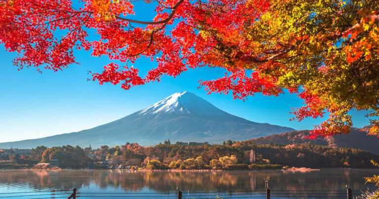 American Airlines Tokyo Metropolitan Airport News