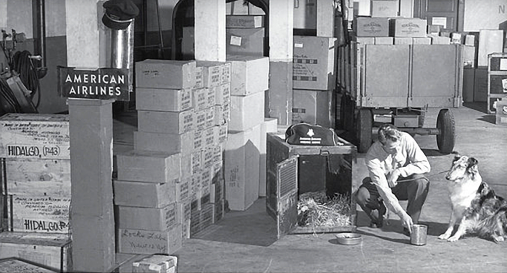Early example of an American Airlines designed container for pets.