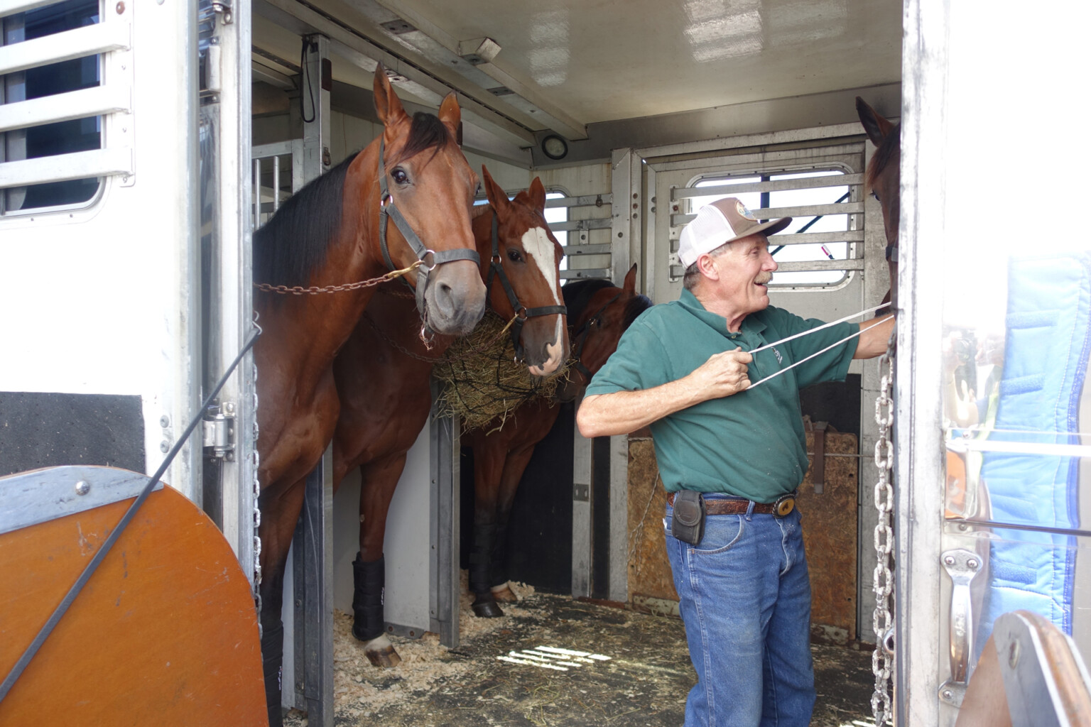 The ARK at JFK Welcomes Largest Equine Quarantine Import to Date ArkJFK Getting ready to go Metropolitan Airport News