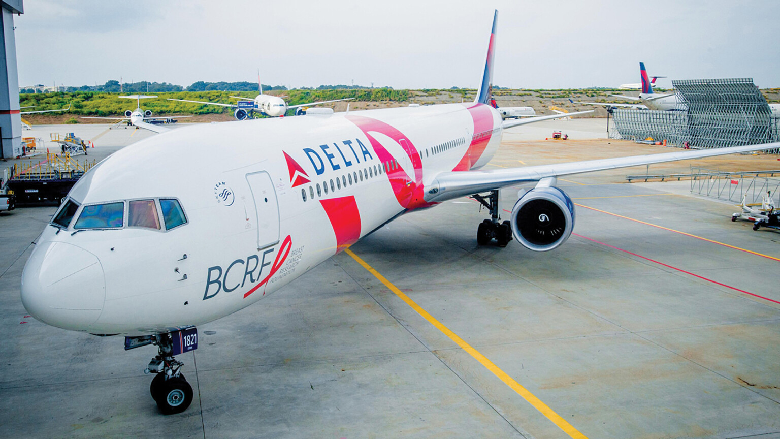 Delta Air Lines Breast Cancer Research Fundraising