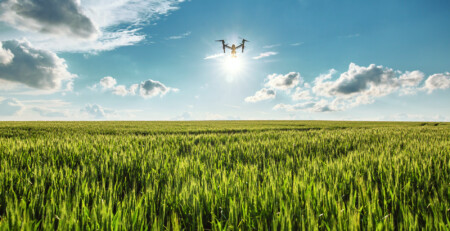 Duck; It’s A Drone! Duck Drone