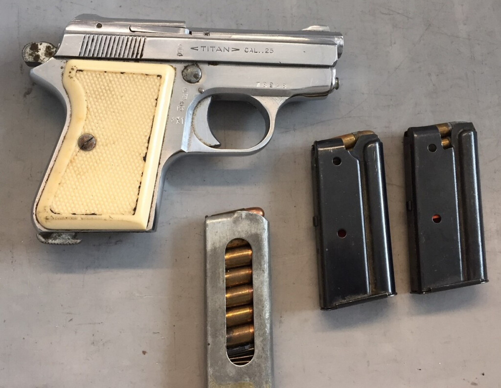 TSA Continued to Detect Slight Uptick in Firearms Caught at New York City Area Airports in 2018 Newark Airport Gun