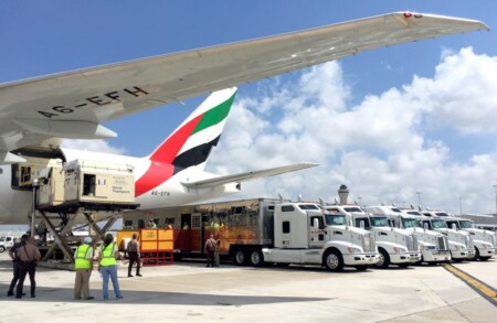 Emirates SkyCargo Transports Close to 100 Horses Across Three Continents Emeritates Miami horses Metropolitan Airport News