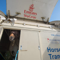 Emirates SkyCargo Horses 0038 Metropolitan Airport News