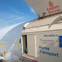 Emirates SkyCargo Horses 0042 Metropolitan Airport News