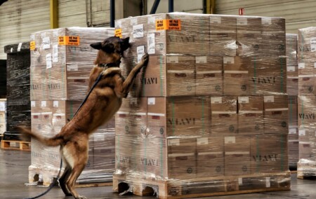 WFS and DiagNose Pioneer Canine Detection of Undeclared Lithium Batteries WFS and Diagnose Pioneer the Detection of Undeclared Lithium Batteries Using Dog Detection