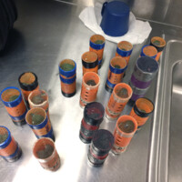 JFK Finches 003 Metropolitan Airport News