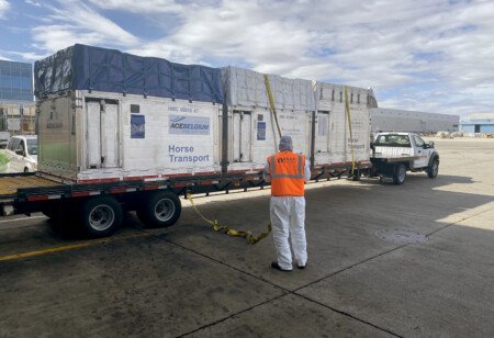 JUNE WEB27 ASAK HORSE TRANSPORT Metropolitan Airport News