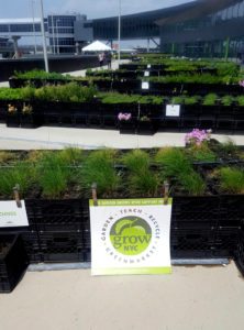 JetBlue Open Concept JFK 4 Metropolitan Airport News