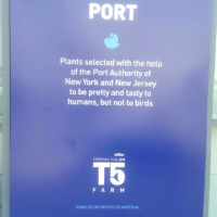 JetBlue Makeover of Terminal 5 Directed to Speeding Journey of Travelers New York Airport JetBlue Open Concept JFK 6 Metropolitan Airport News
