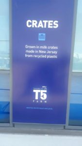 JetBlue Open Concept JFK 7 Metropolitan Airport News