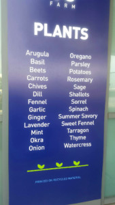 JetBlue Open Concept JFK 8 Metropolitan Airport News