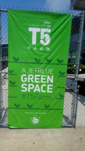 JetBlue Open Concept JFK 9 Metropolitan Airport News