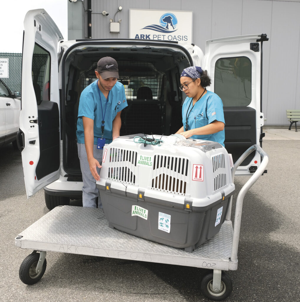Julian and Gaby loading dog.