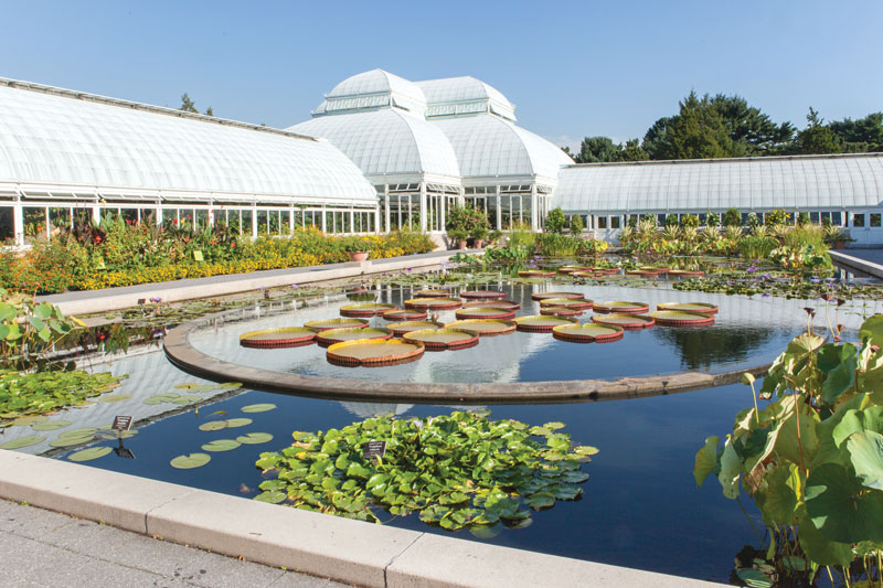 The New York Botanical Garden, the Bronx.