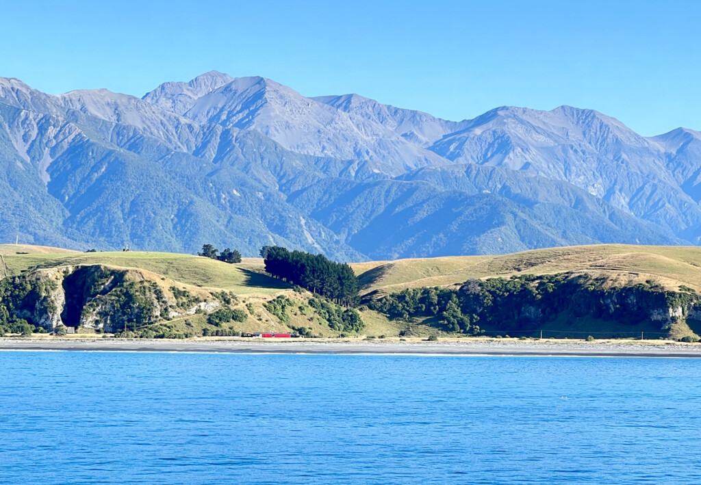 New Zealand: A Dream Becomes a Reality New York Airport New Zealand 4 Metropolitan Airport News