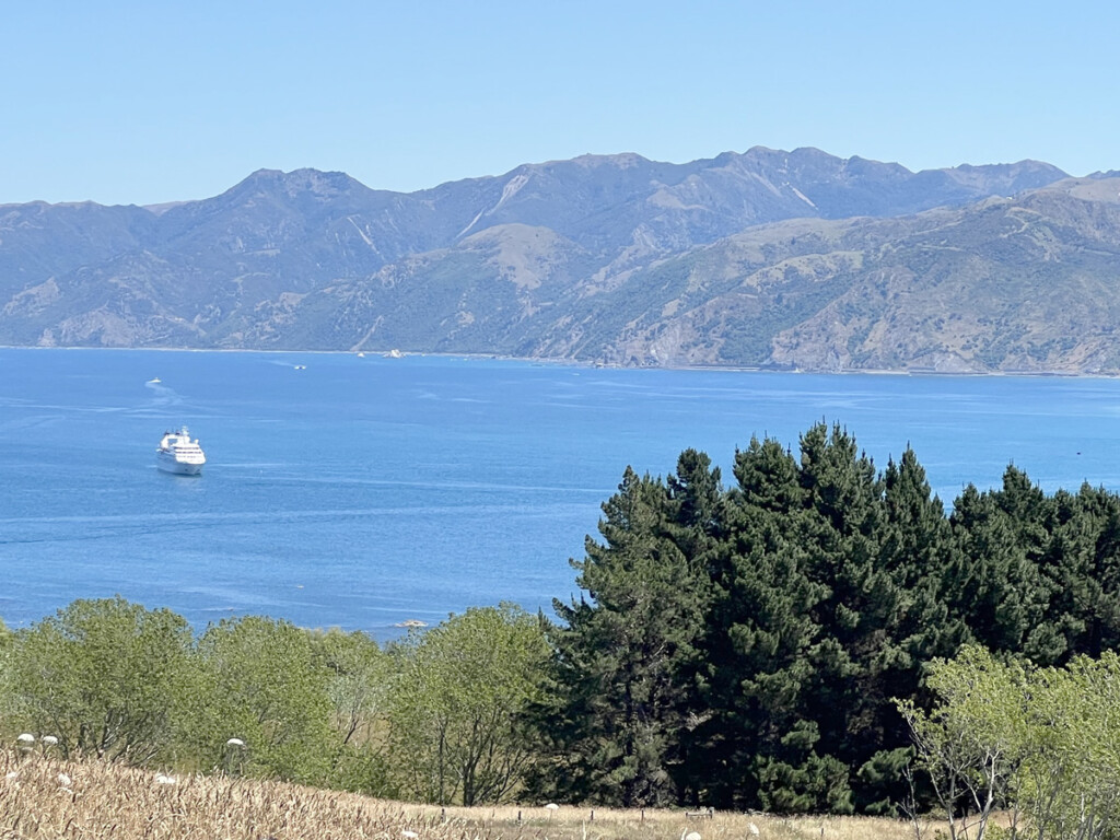 New Zealand: A Dream Becomes a Reality New York Airport New Zealand 5 Metropolitan Airport News
