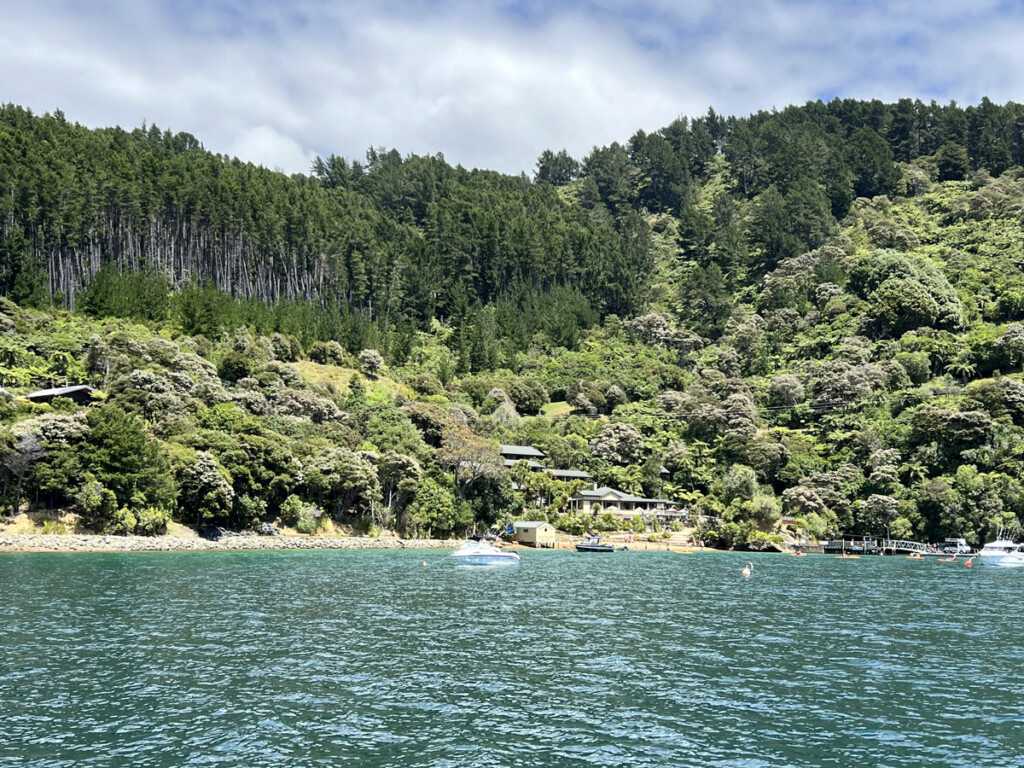 New Zealand: A Dream Becomes a Reality New York Airport New Zealand 9 Metropolitan Airport News