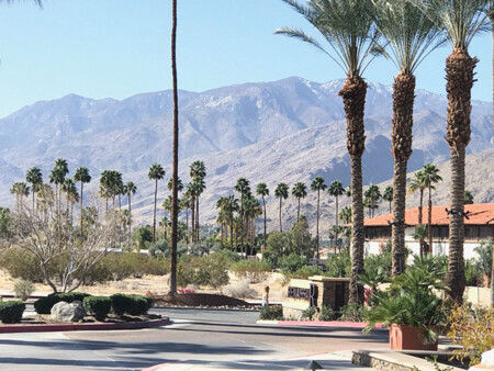 Non-Rev Traveler Palm Springs