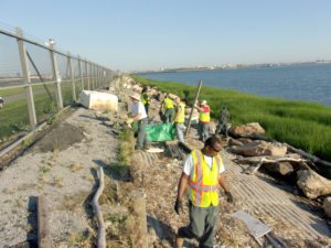 Shoreline 1 Metropolitan Airport News