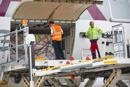 Swissport Reports Record Cargo Demand