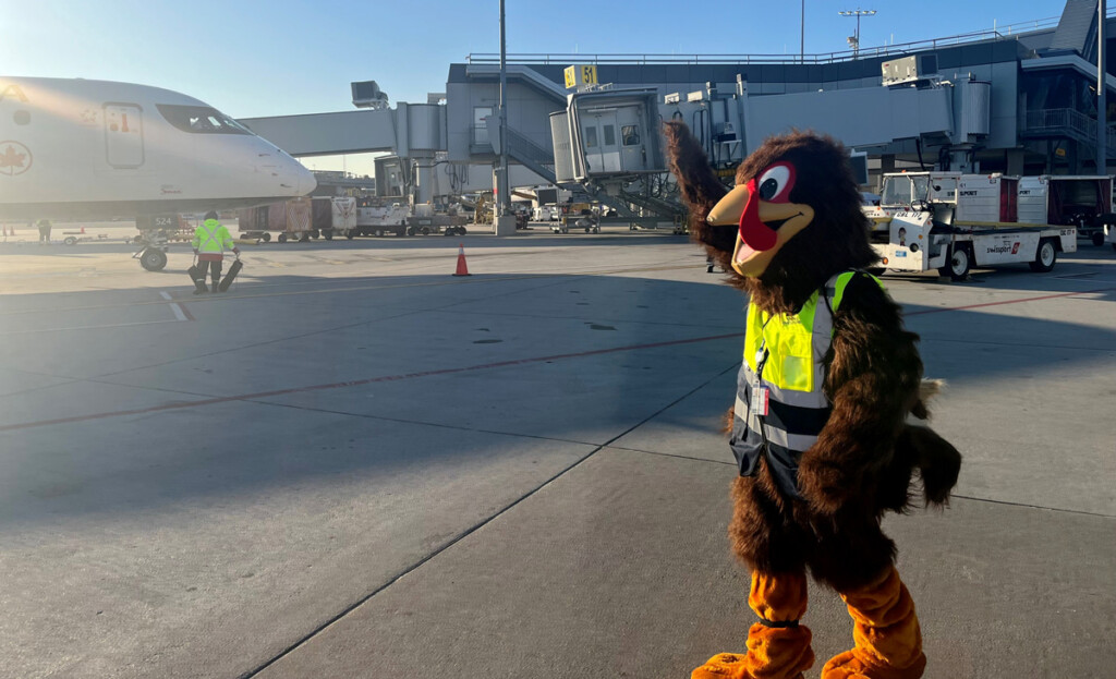LGA Terminal-B Turkey Out on the ramp.