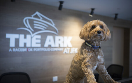 Debunking Top Four Pet Adoption Myths During COVID-19