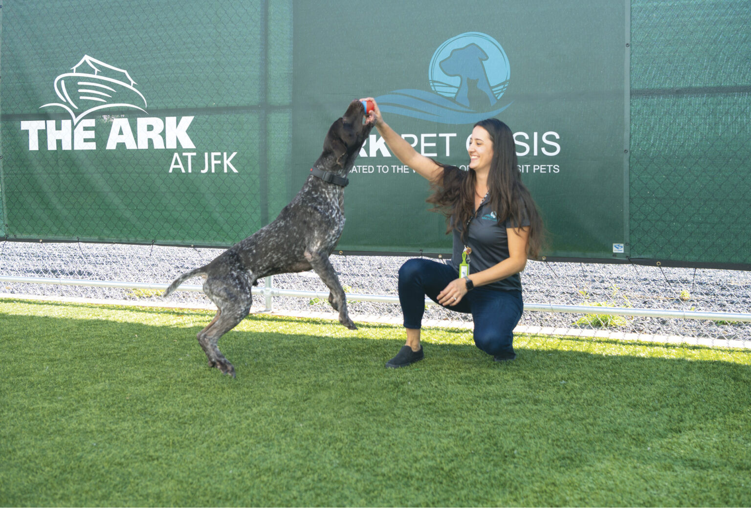 One of The ARK’s canine guests, an energetic Pointer, enjoys plenty of TLC and playtime with Kiera Mejia at The ARK Pet Oasis.