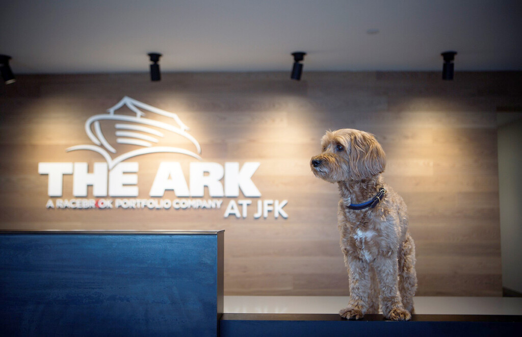 The Ark at JFK