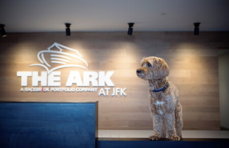 The Ark at JFK