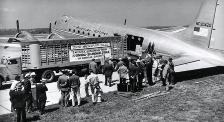 Transportation of life-saving medicine and supplies.
