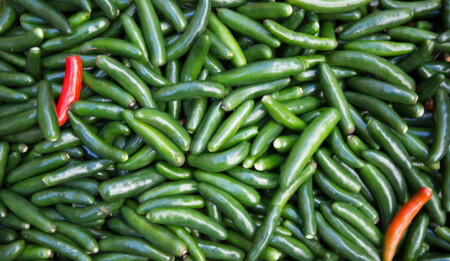 JetBlue Spices Up Its ‘BlueBud’ Business Mentoring Program peppers Metropolitan Airport News